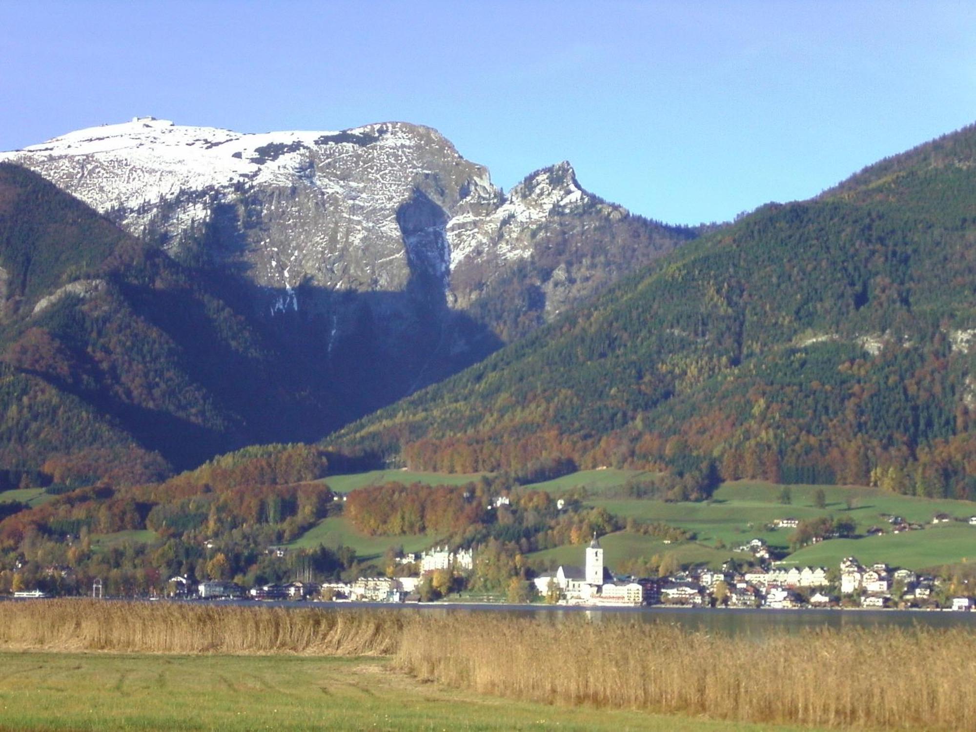 Gasthof Wiesenhof Штробль Экстерьер фото